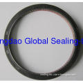 Assembly Oil Seals for Styer Axle